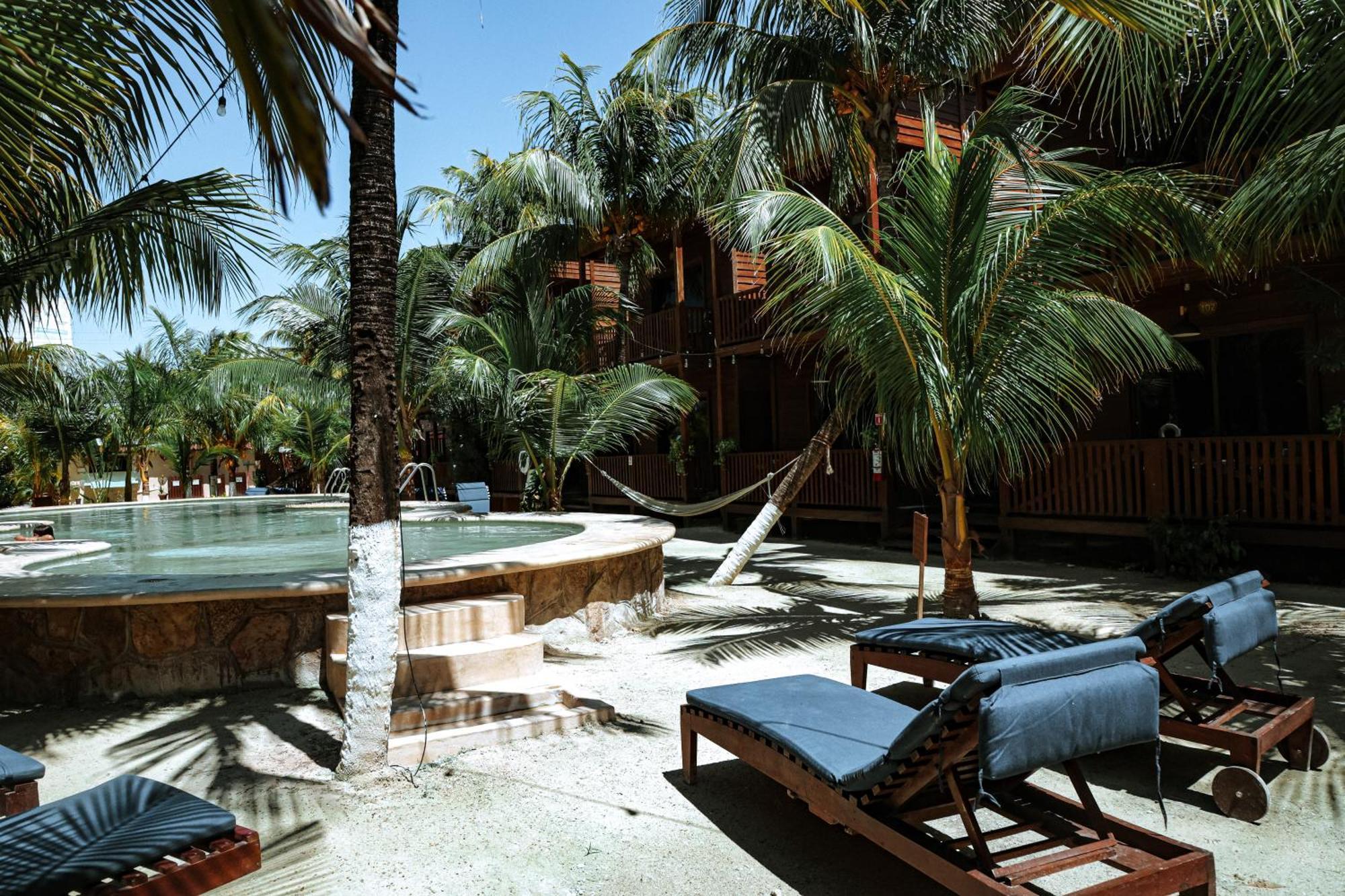 Coconut By Ool 3*