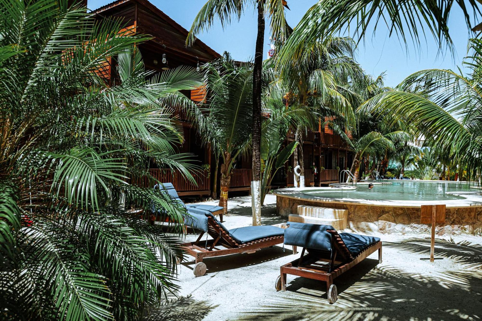 Coconut By Ool Isla Holbox