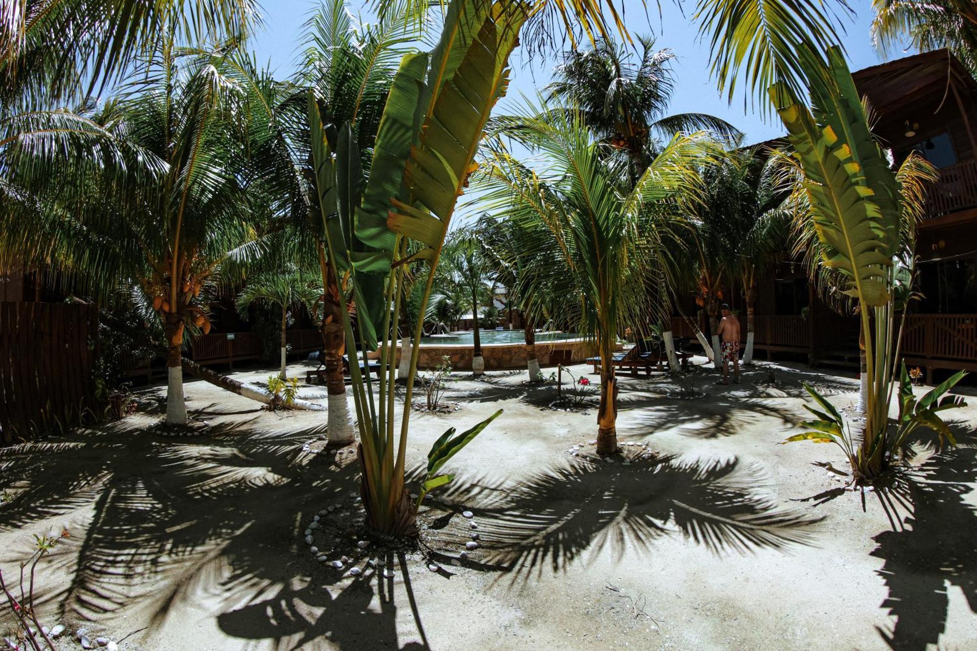 Coconut By Ool 3*