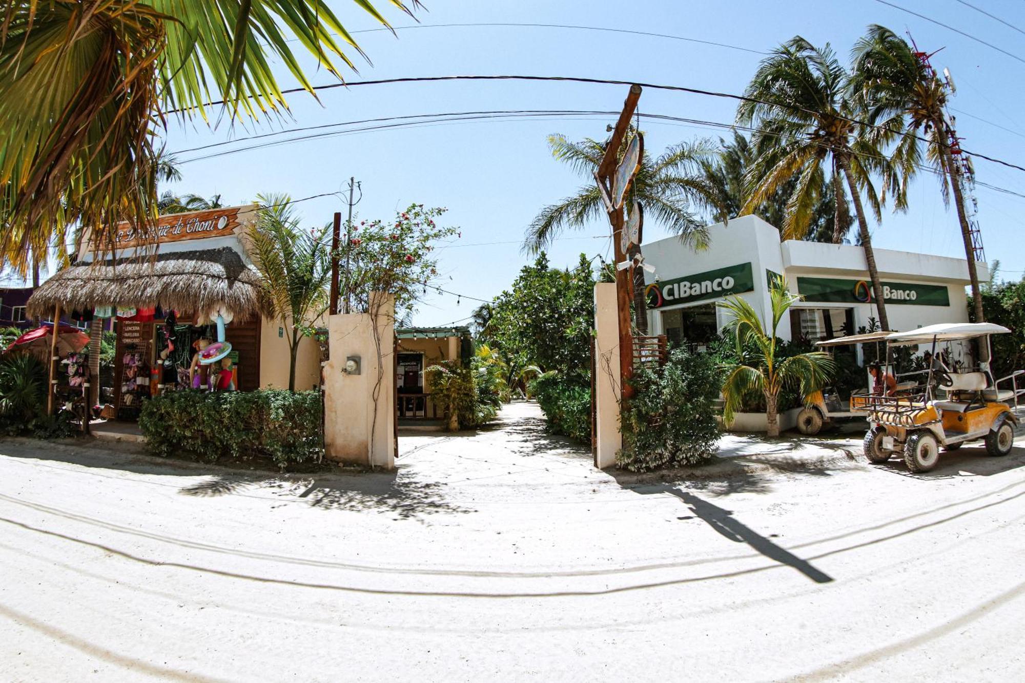 Coconut By Ool Isla Holbox