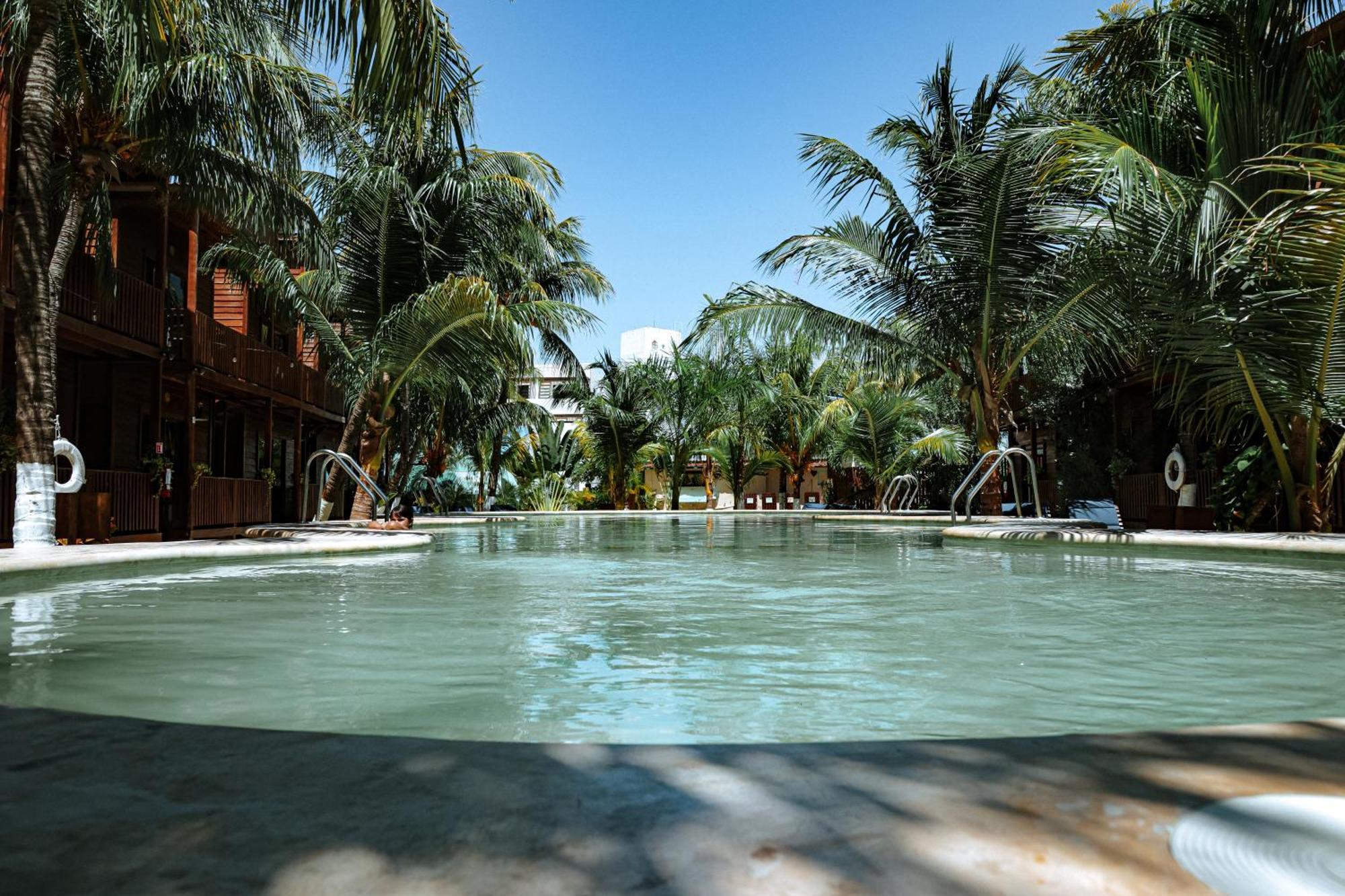 Coconut By Ool