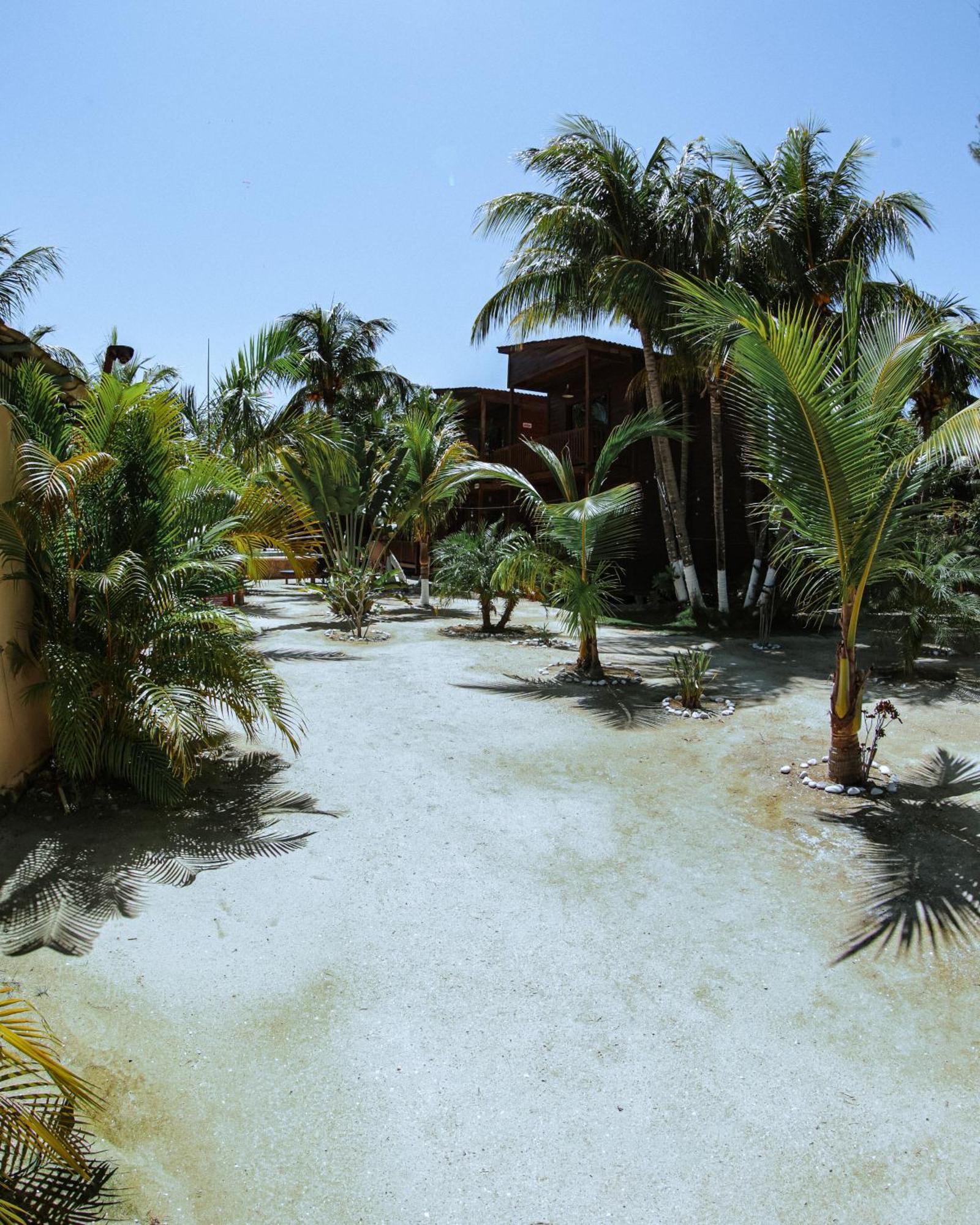 Coconut By Ool Ilha Holbox
